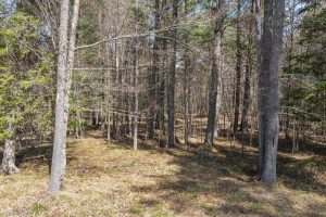 Lot 2 Off Zeman Rd, , Eagle River,  WI 54521