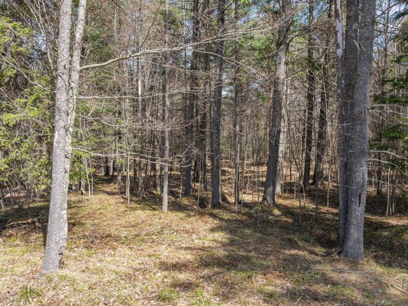 Lot 2 Off Zeman Rd, , Eagle River,  WI 54521