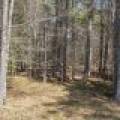 Lot 2 Off Zeman Rd, , Eagle River,  WI 54521