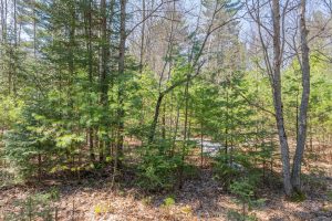 Lot 2 Off Watersmeet Lake Rd, , Eagle River,  WI 54521