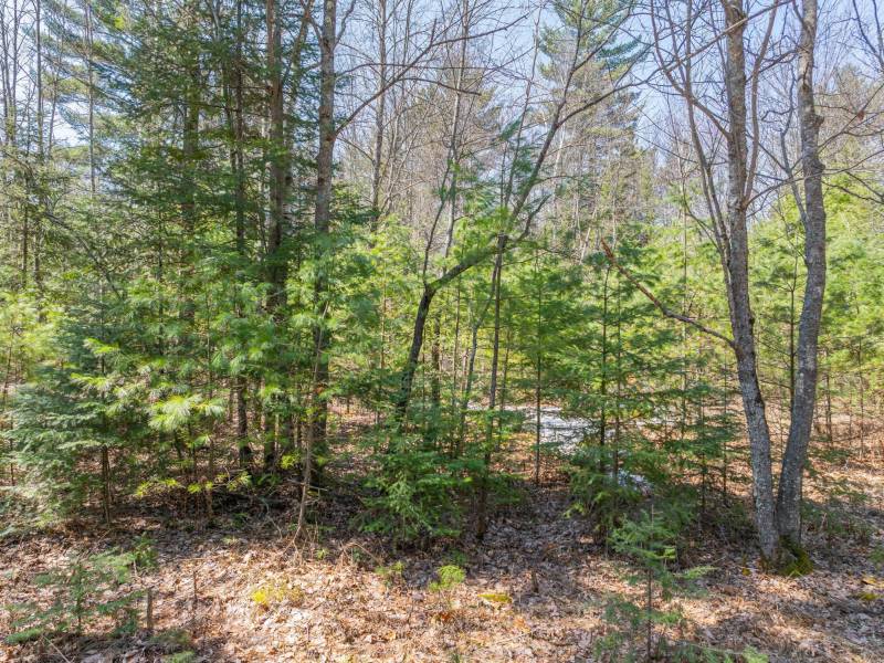 Lot 2 Off Watersmeet Lake Rd, , Eagle River,  WI 54521