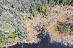 Lot 2 Off Watersmeet Lake Rd, , Eagle River,  WI 54521