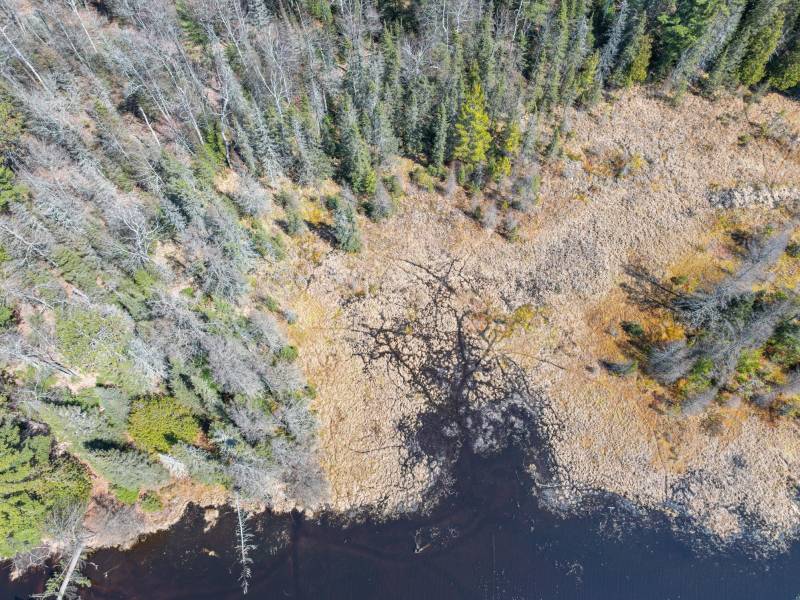 Lot 2 Off Watersmeet Lake Rd, , Eagle River,  WI 54521
