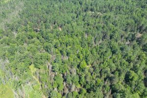 Lot 2 Off Watersmeet Lake Rd, , Eagle River,  WI 54521