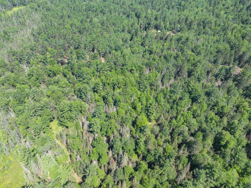 Lot 2 Off Watersmeet Lake Rd, , Eagle River,  WI 54521