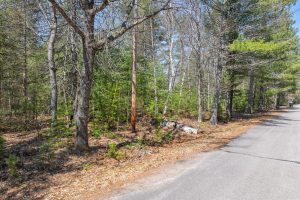 Lot 2 Off Watersmeet Lake Rd, , Eagle River,  WI 54521
