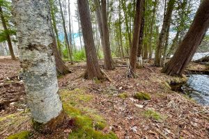 3 Off Riverdale Ln, , Eagle River,  WI 54521