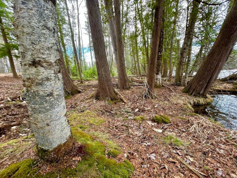 3 Off Riverdale Ln, , Eagle River,  WI 54521