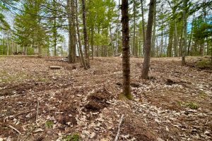 3 Off Riverdale Ln, , Eagle River,  WI 54521