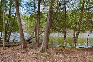 3 Off Riverdale Ln, , Eagle River,  WI 54521