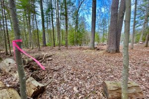 3 Off Riverdale Ln, , Eagle River,  WI 54521