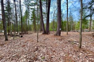 3 Off Riverdale Ln, , Eagle River,  WI 54521