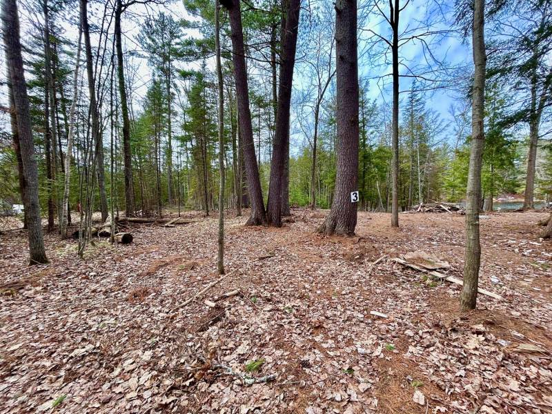 3 Off Riverdale Ln, , Eagle River,  WI 54521