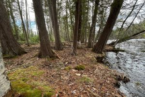 3 Off Riverdale Ln, , Eagle River,  WI 54521