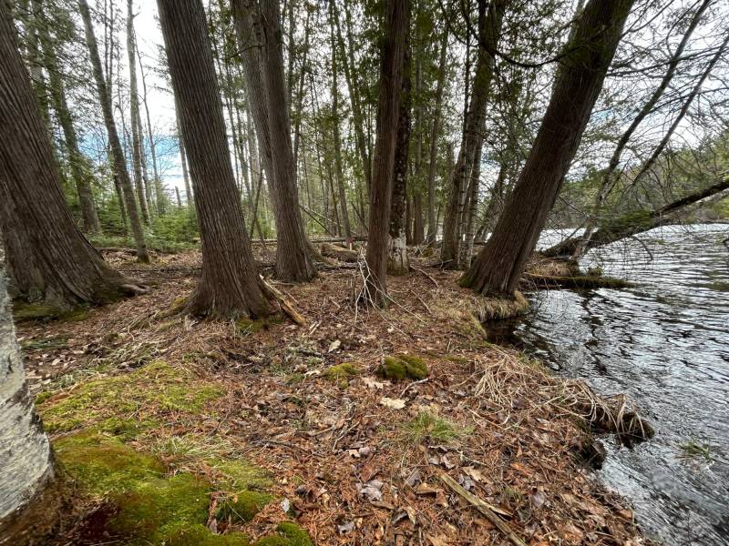 3 Off Riverdale Ln, , Eagle River,  WI 54521