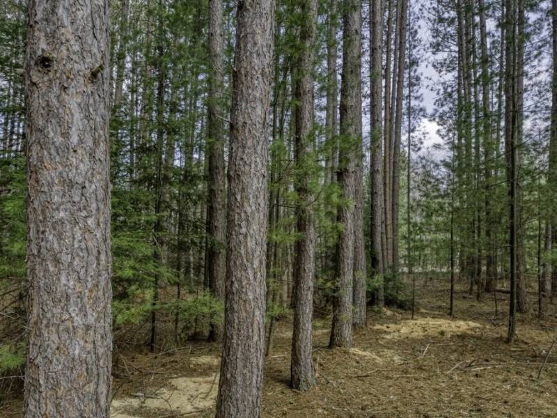 Lot 2 Curtis Lake Dr, Minocqua, Minocqua,  WI 54548 United States