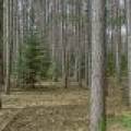 Lot 2 Curtis Lake Dr, Minocqua, Minocqua,  WI 54548 United States