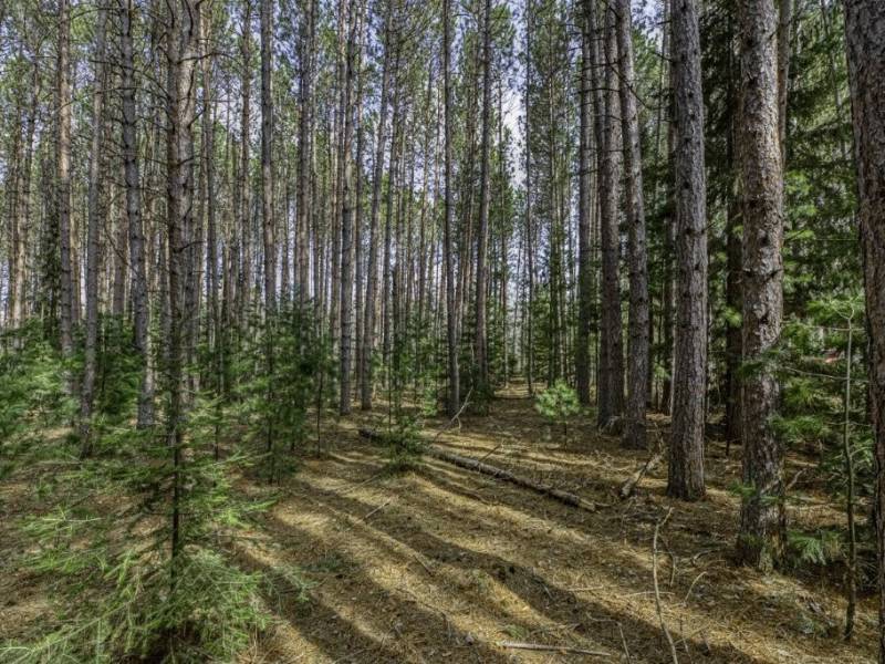 Lot 2 Curtis Lake Dr, Minocqua, Minocqua,  WI 54548 United States
