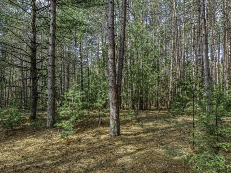 Lot 2 Curtis Lake Dr, Minocqua, Minocqua,  WI 54548 United States