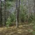 Lot 2 Curtis Lake Dr, Minocqua, Minocqua,  WI 54548 United States