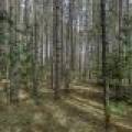 Lot 2 Curtis Lake Dr, Minocqua, Minocqua,  WI 54548 United States