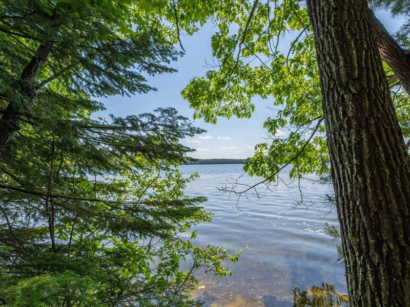 Off Shangri La Rd, , Eagle River,  WI 54521