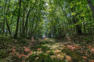 Off Shangri La Rd, , Eagle River,  WI 54521