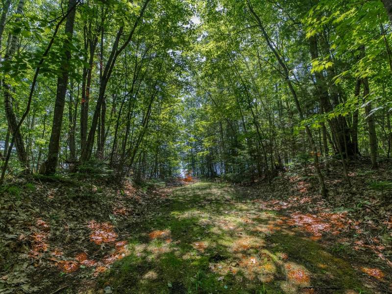 Off Shangri La Rd, , Eagle River,  WI 54521