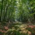 Off Shangri La Rd, , Eagle River,  WI 54521