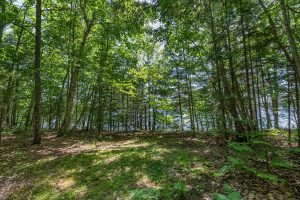 Off Shangri La Rd, , Eagle River,  WI 54521