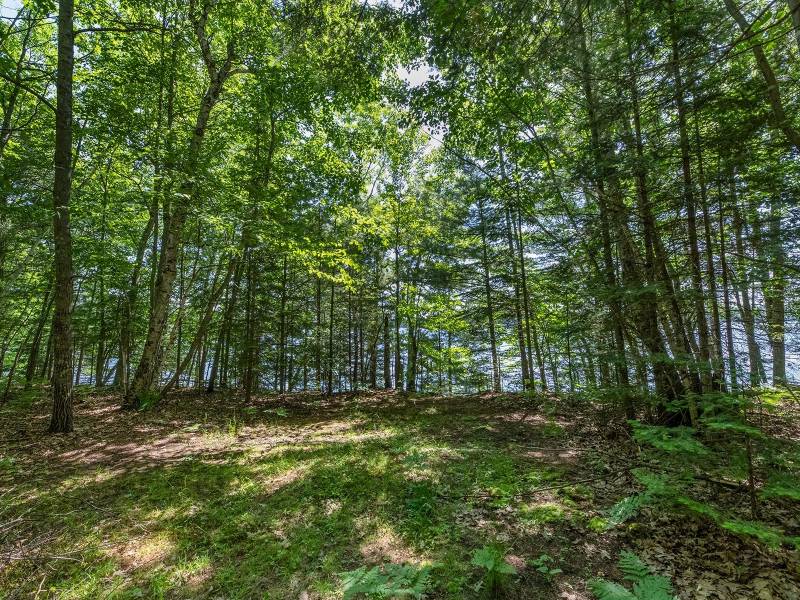 Off Shangri La Rd, , Eagle River,  WI 54521