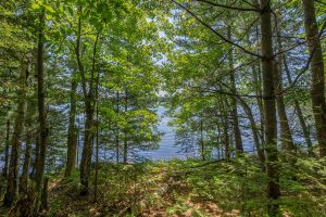 Off Shangri La Rd, , Eagle River,  WI 54521