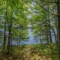 Off Shangri La Rd, , Eagle River,  WI 54521