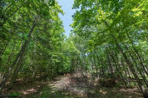 Off Shangri La Rd, , Eagle River,  WI 54521