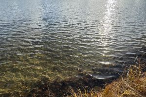 Off Shangri La Rd, , Eagle River,  WI 54521