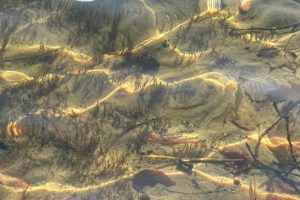 Off Shangri La Rd, , Eagle River,  WI 54521