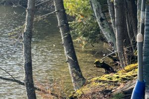 Off Shangri La Rd, , Eagle River,  WI 54521