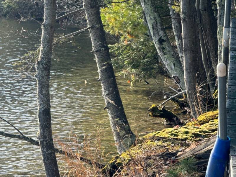 Off Shangri La Rd, , Eagle River,  WI 54521