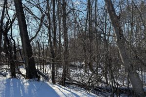 On Huron St, , Three Lakes,  WI 54562