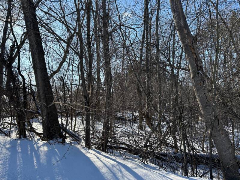 On Huron St, , Three Lakes,  WI 54562