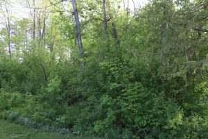 On Huron St, , Three Lakes,  WI 54562