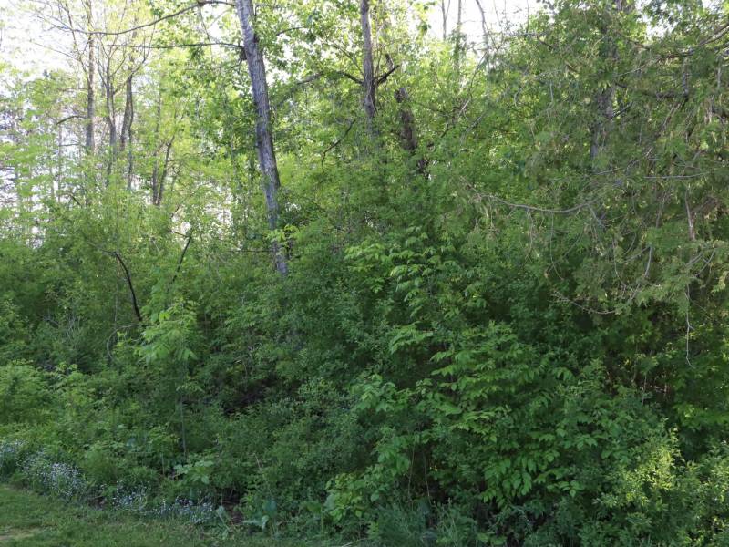On Huron St, , Three Lakes,  WI 54562