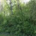 On Huron St, , Three Lakes,  WI 54562