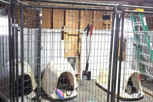 W4699 CTH S, , Skanawan,  WI 54442