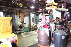 W4699 CTH S, , Skanawan,  WI 54442