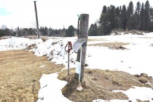 W4699 CTH S, , Skanawan,  WI 54442