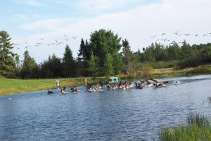 W4699 CTH S, , Skanawan,  WI 54442