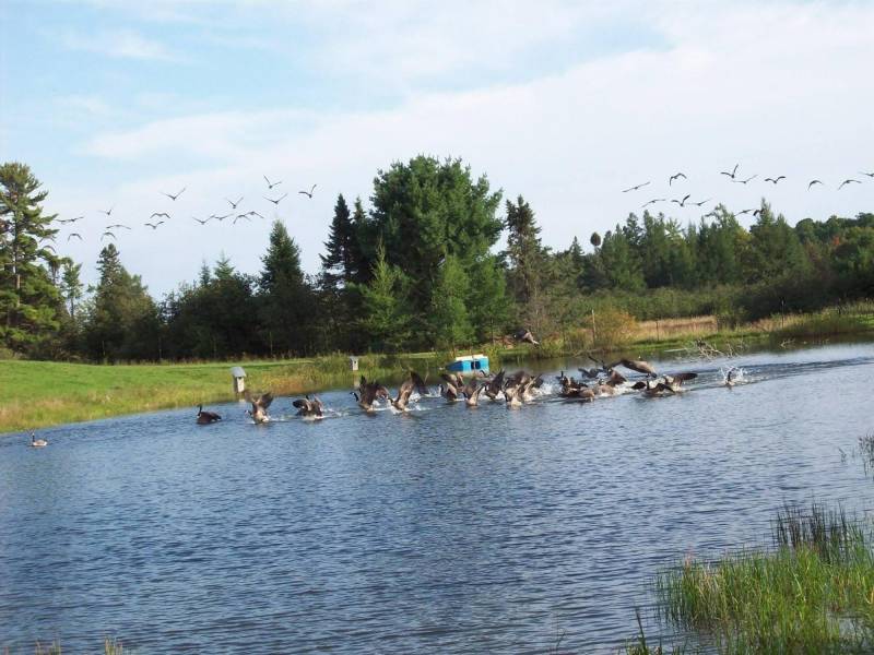 W4699 CTH S, , Skanawan,  WI 54442