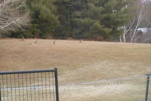 W4699 CTH S, , Skanawan,  WI 54442