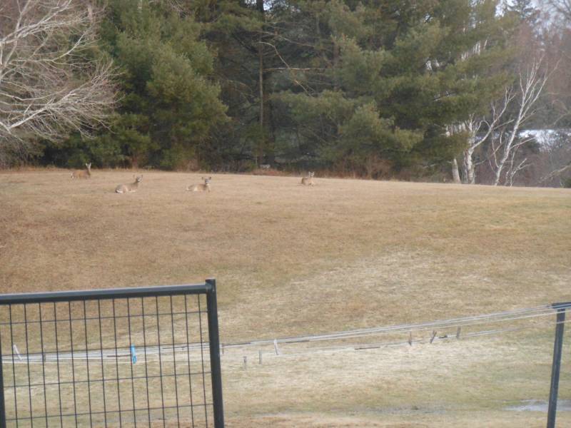 W4699 CTH S, , Skanawan,  WI 54442